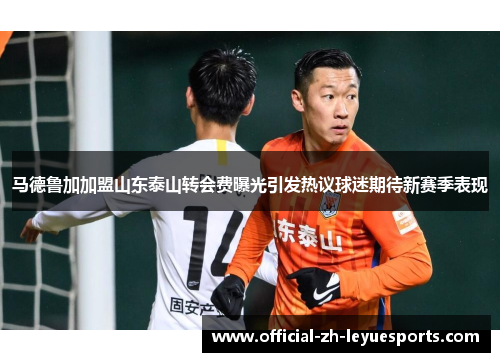 马德鲁加加盟山东泰山转会费曝光引发热议球迷期待新赛季表现
