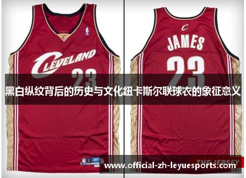 黑白纵纹背后的历史与文化纽卡斯尔联球衣的象征意义