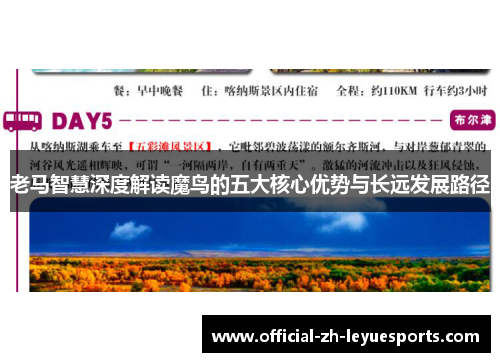 老马智慧深度解读魔鸟的五大核心优势与长远发展路径