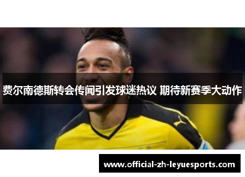 费尔南德斯转会传闻引发球迷热议 期待新赛季大动作