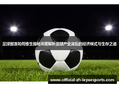 足球部落如何维生揭秘深度解析足球产业背后的经济模式与生存之道