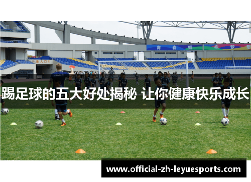 踢足球的五大好处揭秘 让你健康快乐成长