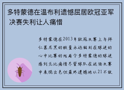 多特蒙德在温布利遗憾屈居欧冠亚军 决赛失利让人痛惜